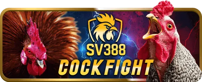 Bước 4: Đặt cược và thưởng thức